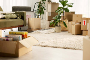 Wohnzimmer mit vielen Umzugskartons, Pflanzen und Möbeln - Vorbereitung auf einen privaten Umzug